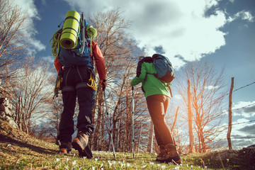 Two men hiking. They go to camp through the spring forest