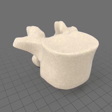 Stylized human lumbar vertebra
