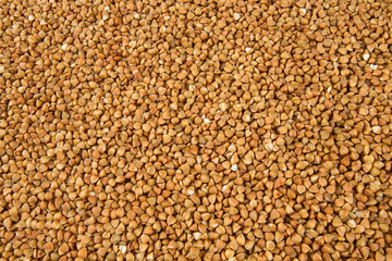 buckwheat background