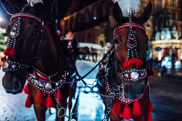 Obraz premium The old square of the night krakow with horse-drawn carriages