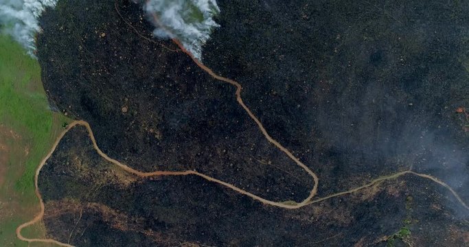 Vertical tracking drone shot showing scarred hillside as its green grass burns 4K
