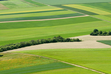 Landschaft auf der Schwäbischen Alb