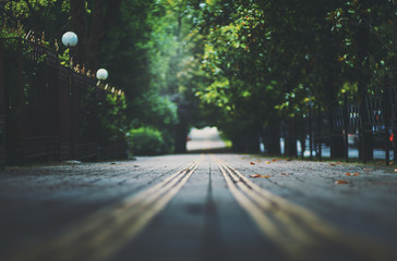 Shallow depth of field photo shooting of park walkway with guide tactile paving tiles for blind...