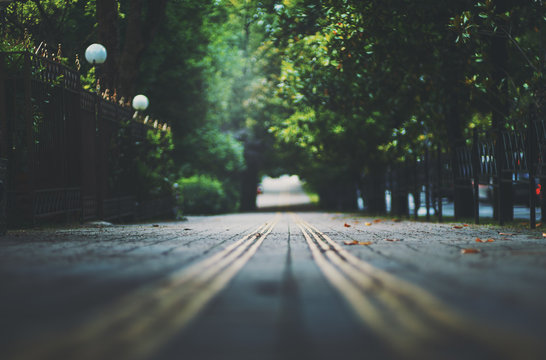 Fototapeta Płytka głębia ostrości fotografowanie chodnika w parku z dotykowymi płytkami chodnikowymi dla niewidomych rozciągających się w odległym punkcie zbiegu  ciemna ścieżka w alejce miasta z jasnym wyjściem na końcu