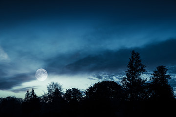 Full moon in blue sky over dark forest