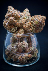 Cannabis Nug - Strain: Obama Kush
