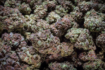 Naklejka na ściany i meble Cannabis Nug - Strain: Big Wreak