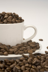 Coffee beans in a white cup and saucer on a plain background