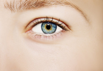 Obraz premium A beautiful insightful look woman's eye. Close up shot.