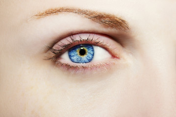 Fototapeta premium A beautiful insightful look woman's eye. Close up shot.