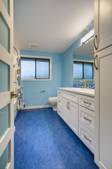 Gorgeous bathroom with blue walls