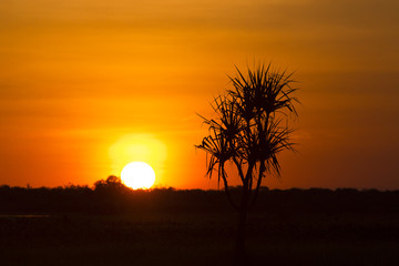 Fototapeta na wymiar Sunset behind trees on Yellow Waters Billabong, Kakadu National Park, Northern Territory Australia.