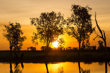 Sunset behind the trees of Yellow Waters Billabong, Kakadu National Park, Northern Territory Australia