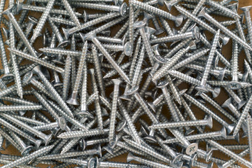 Full frame close up of plated cross head wood screws