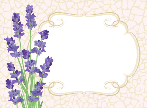 Lavender. Background with lavender flowers and texture crackle.