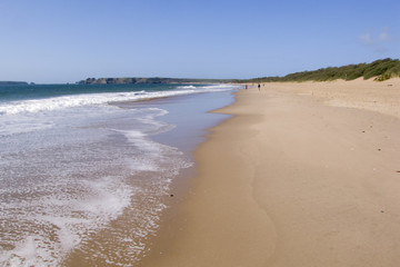 UK, Wales, Pembrokeshire, Tenby, South Beach, empty in spring sunshine