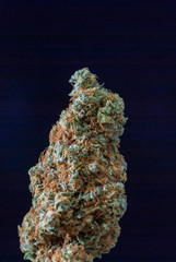 Cannabis Nug - Strain: Cotton Candy