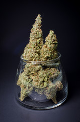 Cannabis Nug - Strain: Durban Poison