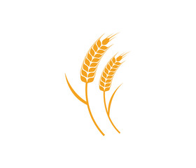 vector logo design and elements of wheat grain, wheat ears, wheat seed, or wheat rye