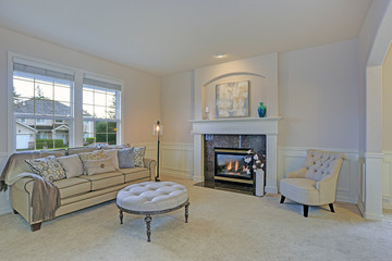Amazing living room with white mantel and millwork