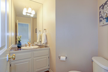 Fototapeta na wymiar Light beige bathroom with built-in vanity cabinet