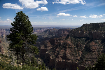 Grand Canyon