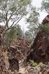 Flinders South Australia Nature 