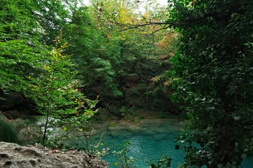 A small pool hidden in the forest