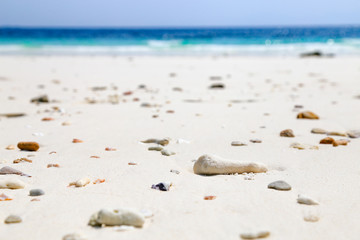 Summer on the beach background