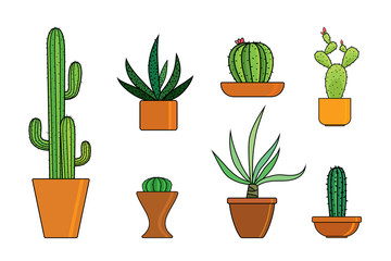 Collection of cactus in pots isolated on white background. Vector houseplants