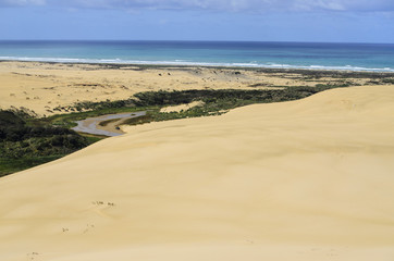 Sand dunes at Cape Reinga, New Zealand