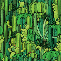 Vector of cactus plants pattern background.