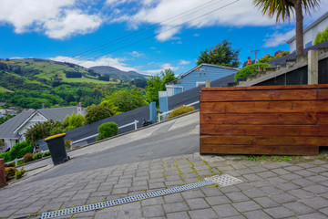 Baldwin Street, the steepest street in the world