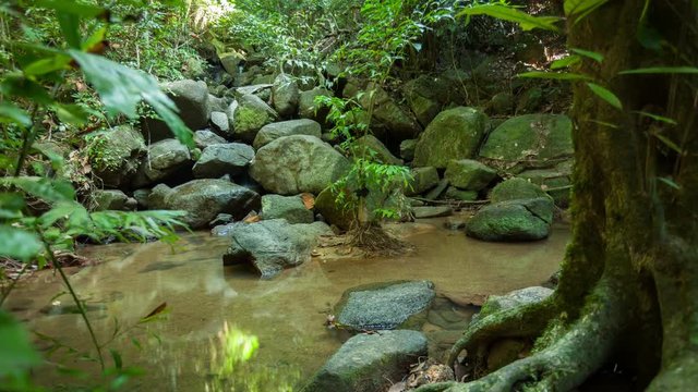 4K time lapse movement of small waterfall in tropical rainforest
