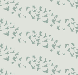 vector, seamless background, pattern flying birds