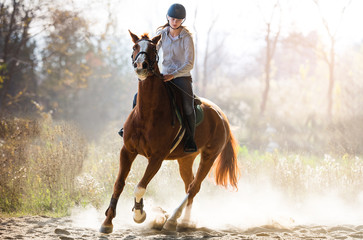 Fototapeta na wymiar girl riding a horse
