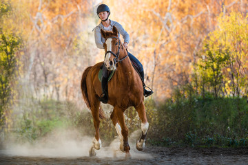  girl riding a horse