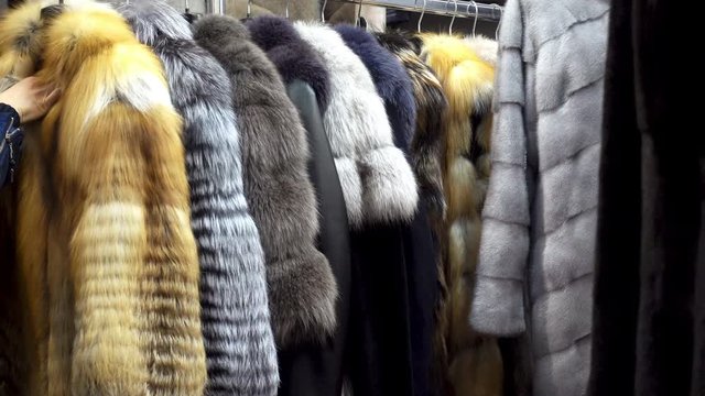 4K view of the collection of fur coats from natural fur hanging on the counter. The hand of a woman chooses a fur coat in a store.