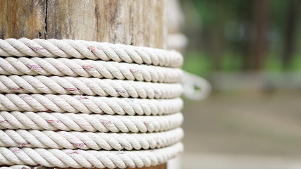rope string cable on the wooden pole