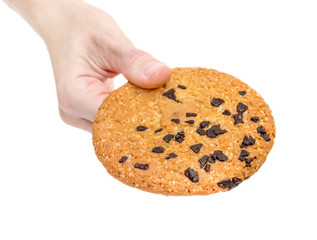 Female hand holds chocolate chip cookie. Isolated on white.