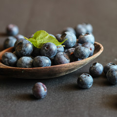 Freshly picked blueberries. Ripe and juicy fresh picked bilberries close up.