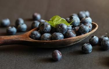 Freshly picked blueberries. Ripe and juicy fresh picked bilberries close up.