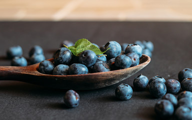 Freshly picked blueberries. Ripe and juicy fresh picked bilberries close up.