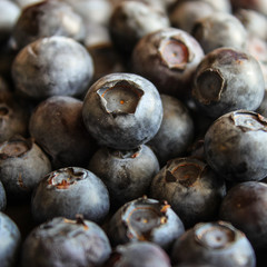 Freshly picked blueberries. Ripe and juicy fresh picked bilberries close up.