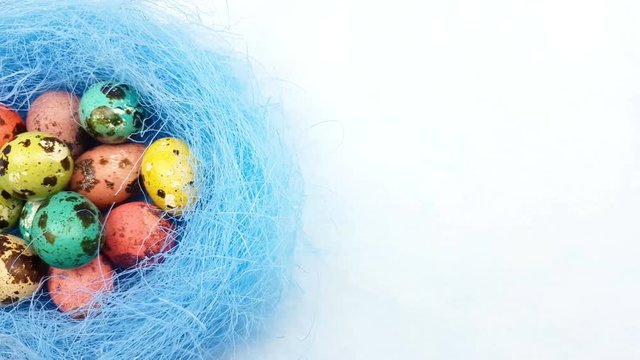 Color easter quail eggs in blue nest on pastel blue background. Close up.
