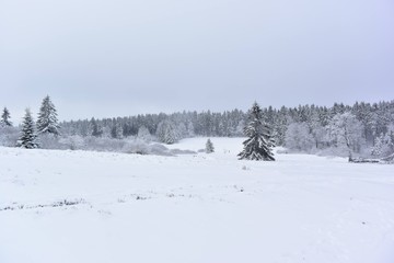 Paysage neigeux 