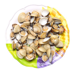 Plate of steamed clams isolated with clipping path