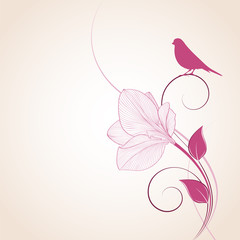 Hand-drawing floral background with flower amaryllis and bird. Element for design. Vector illustration.