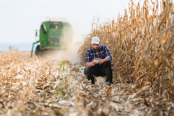 farmer in corn fields