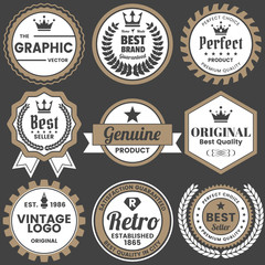 Vintage Retro Vector Logo for banner